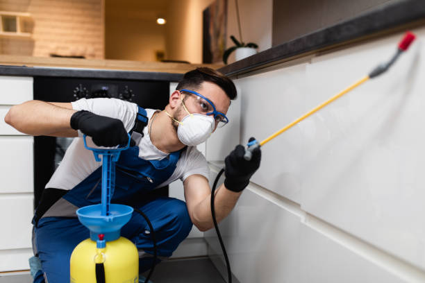 Best Residential Pest Control  in Sherrelwood, CO