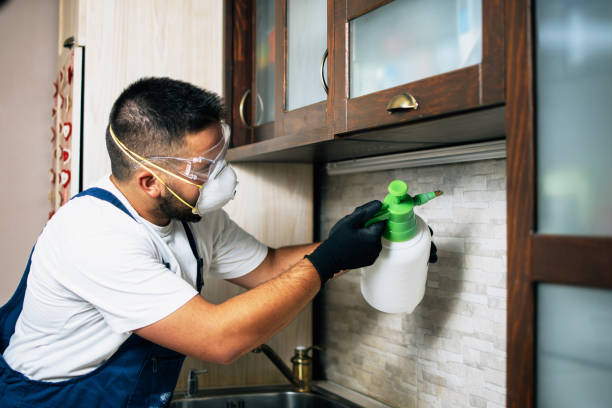 Best Best Pest Control Companies  in Sherrelwood, CO