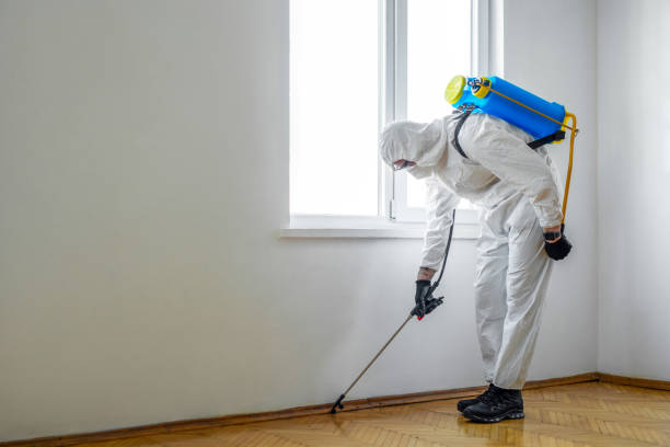 Best Affordable Pest Control Services  in Sherrelwood, CO