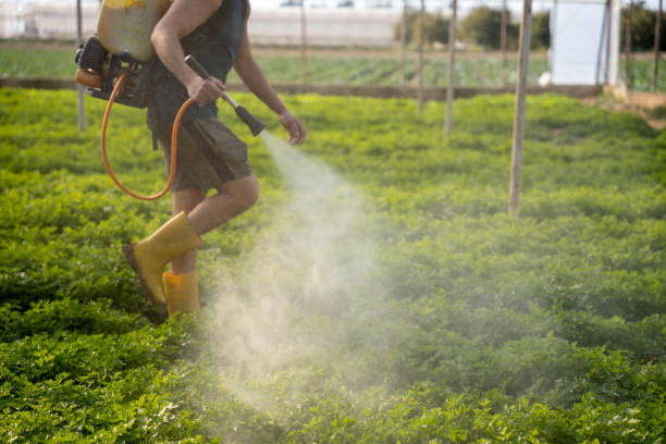 Best Best Pest Control Companies  in Sherrelwood, CO