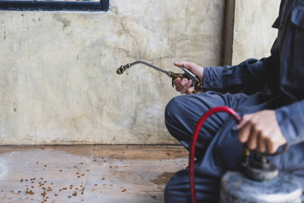 Professional Pest Control in Sherrelwood, CO