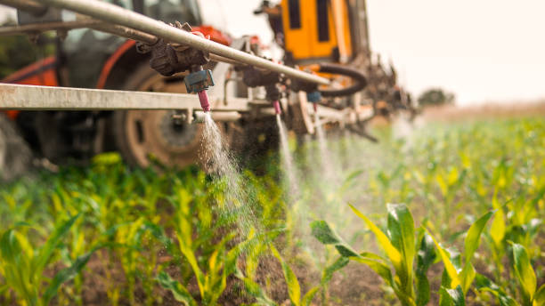 Best Pest Removal Services  in Sherrelwood, CO